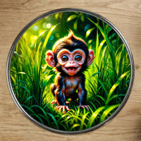 Magnet Petit Singe