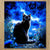 Chiffonnette Chat Noir