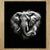 Chiffonnette Elephant Noir et Blanc