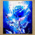 Chiffonnette Rose Bleue