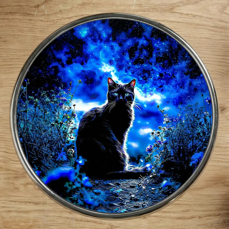 Magnet Chat Noir