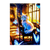 Poster Chat Papillon