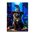 Poster Chat Sorcier