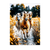 Poster Chevaux Sauvages