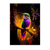 Poster Colibris Violet