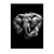 Poster Éléphant Noir et Blanc