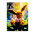 Poster Evoli