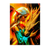 Poster Femme et Dragon