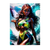 Poster Layla Winx