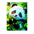 Poster Panda